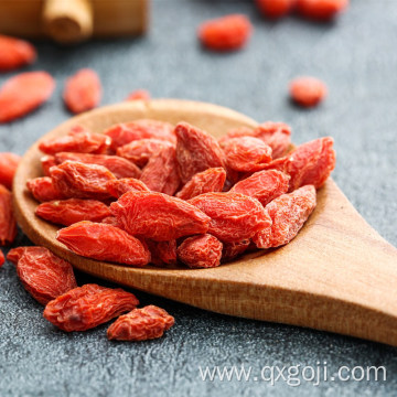 Ningxia organic dried red goji berry fruit